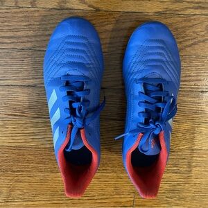 Adidas Blue Predator 19.4 FXG Firm Ground Cleats